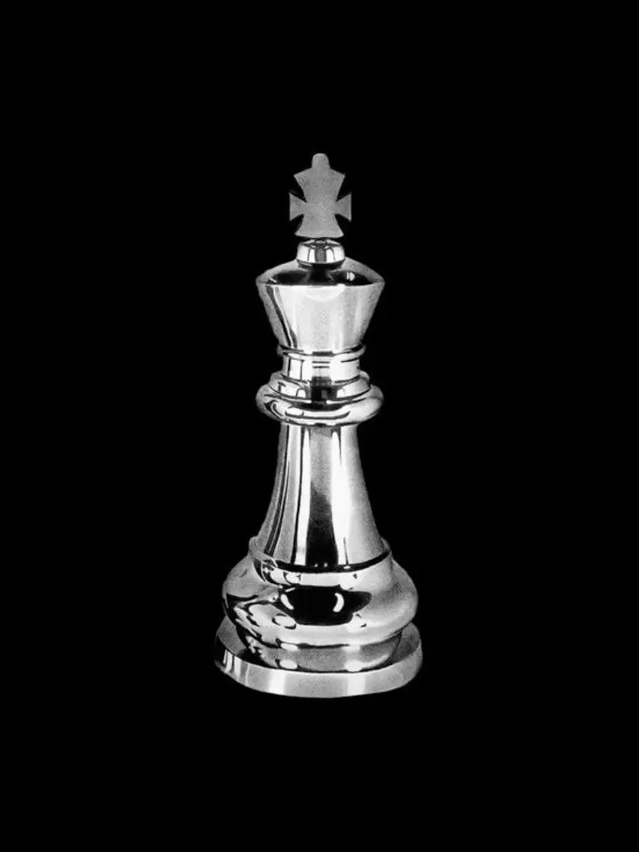 StarkPig4576의 조재영