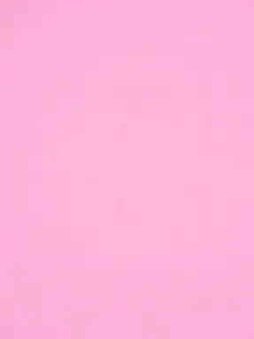 FineBrick9774의 勘違い