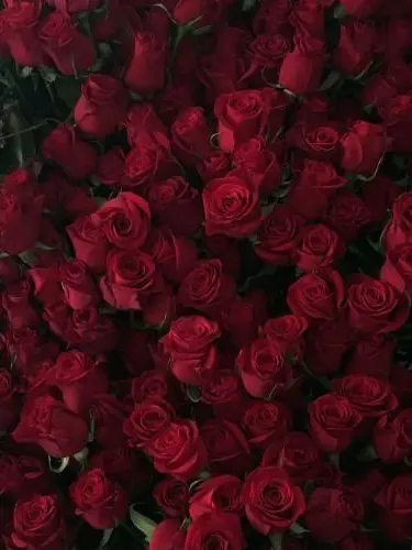 L2_j1n1c의 陸成志