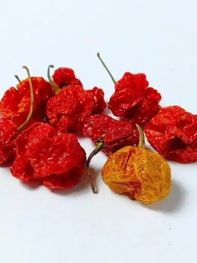 FakeSiren7864의 지옥 짬뽕 먹기 대회