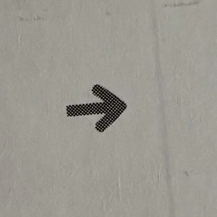 여우 친구