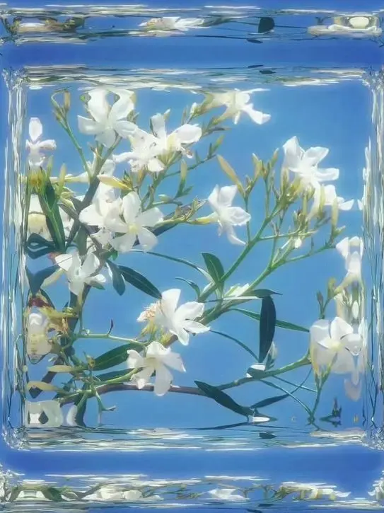 philocalist의 夢