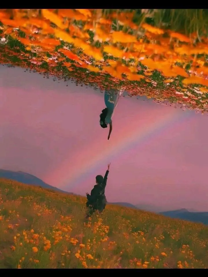 Adar의 Flowers from Travis
