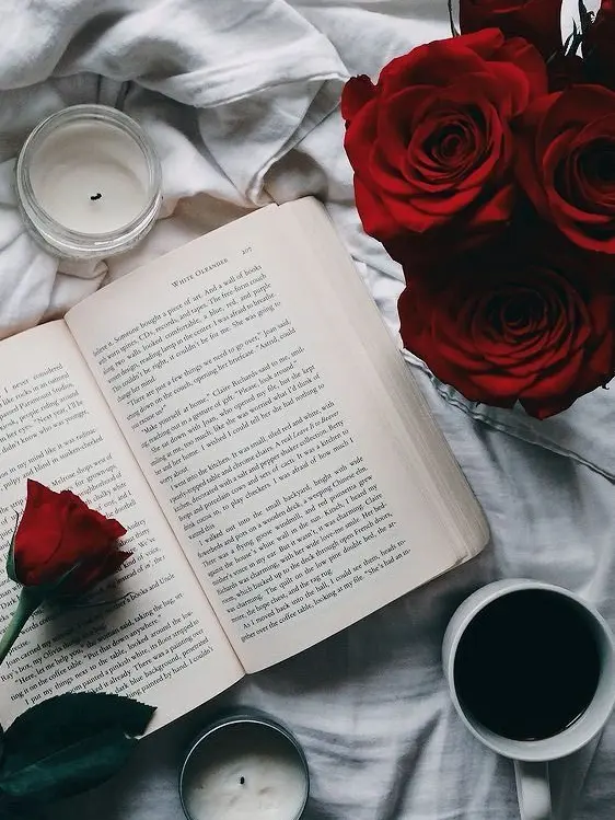 li____i의 .
