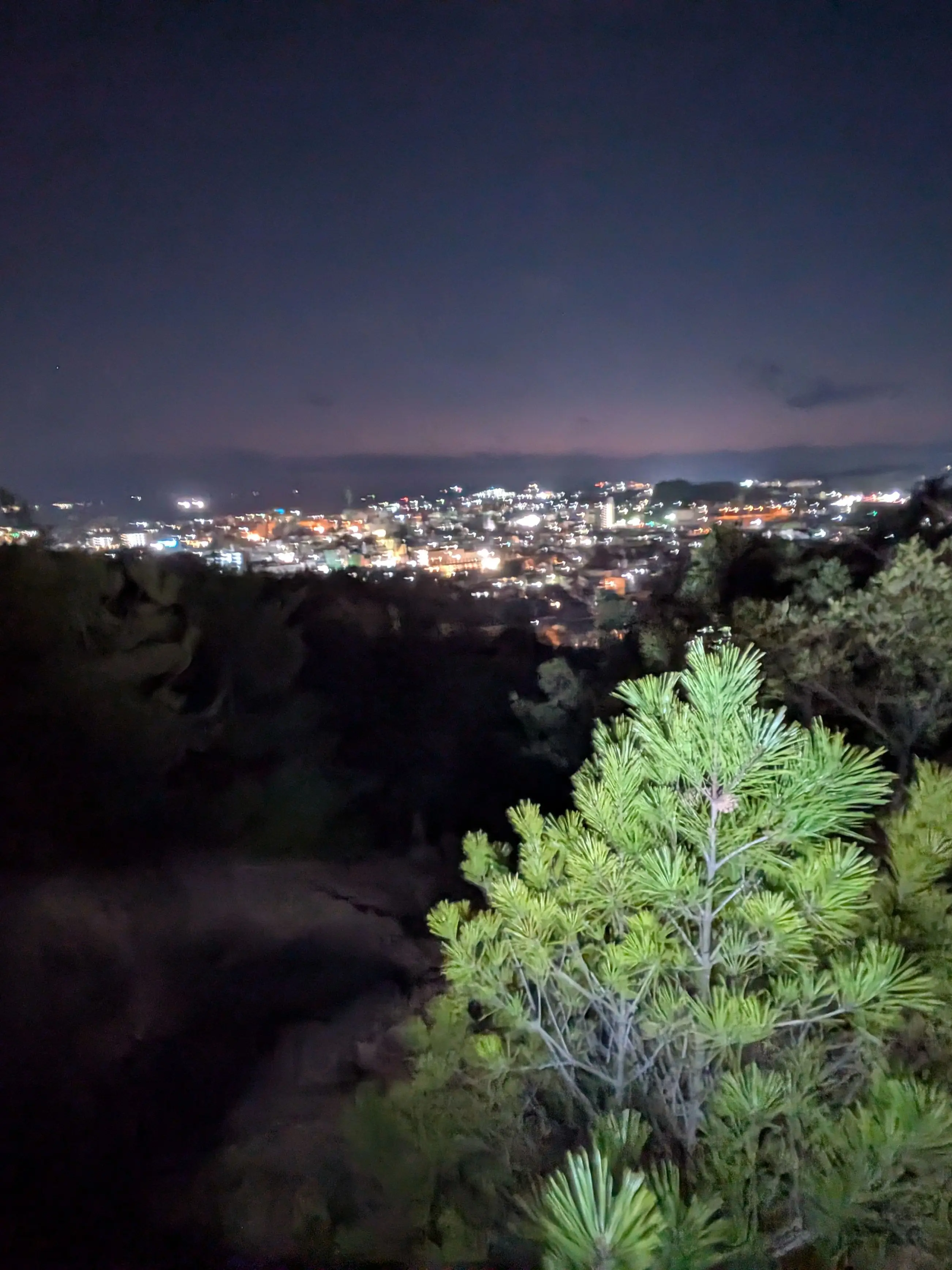 RoundFloor8112의 七海家のお手伝いさん