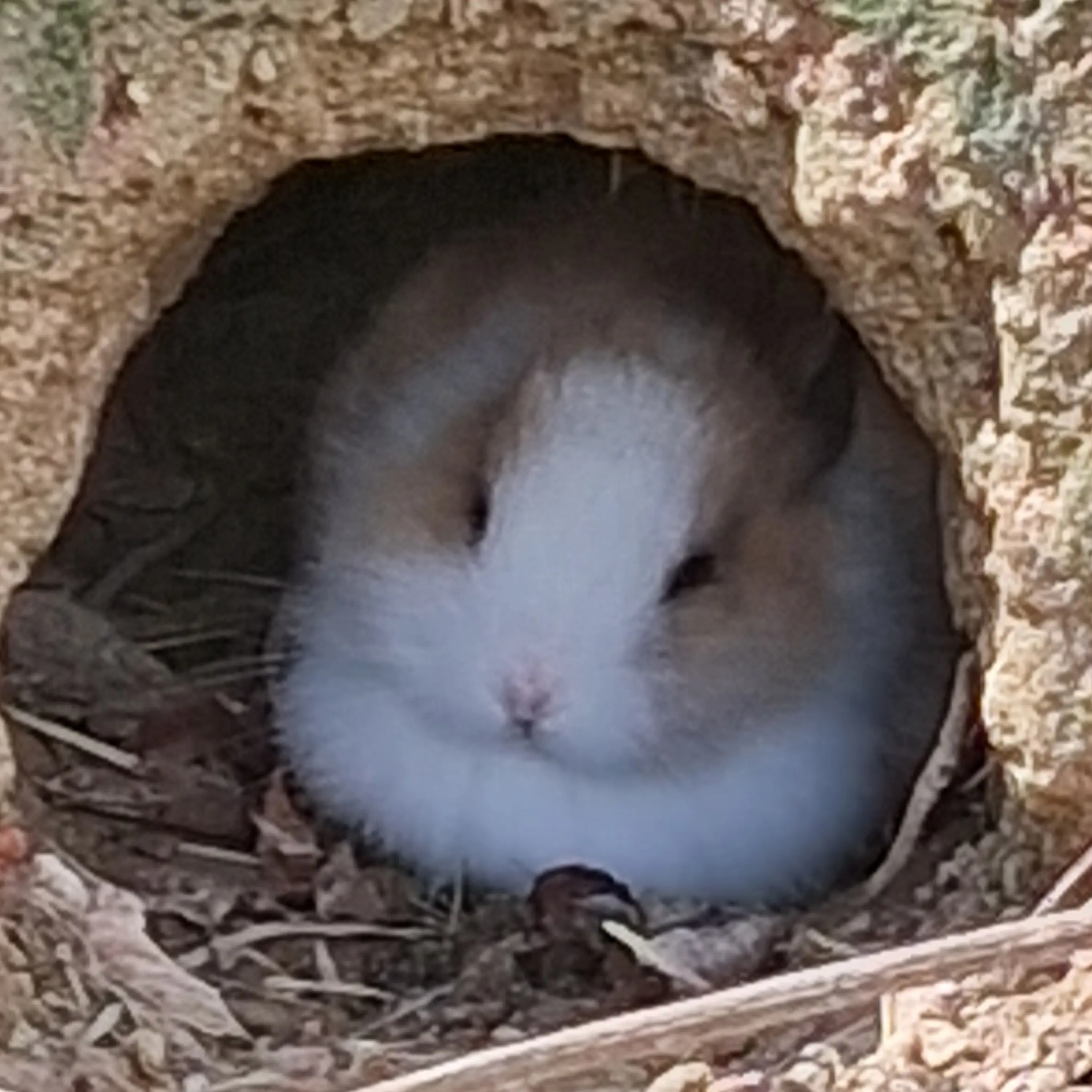 NumbCard0039의 나만 싫어하는거냐?