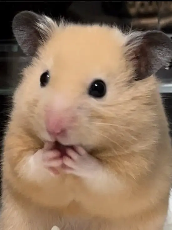 102912의 배우와 동거생활