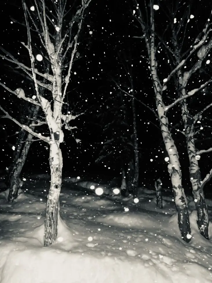 Kvhwkdrp의 ጕዐክጕዐጋ ክቿ ዪሁነፕልነ