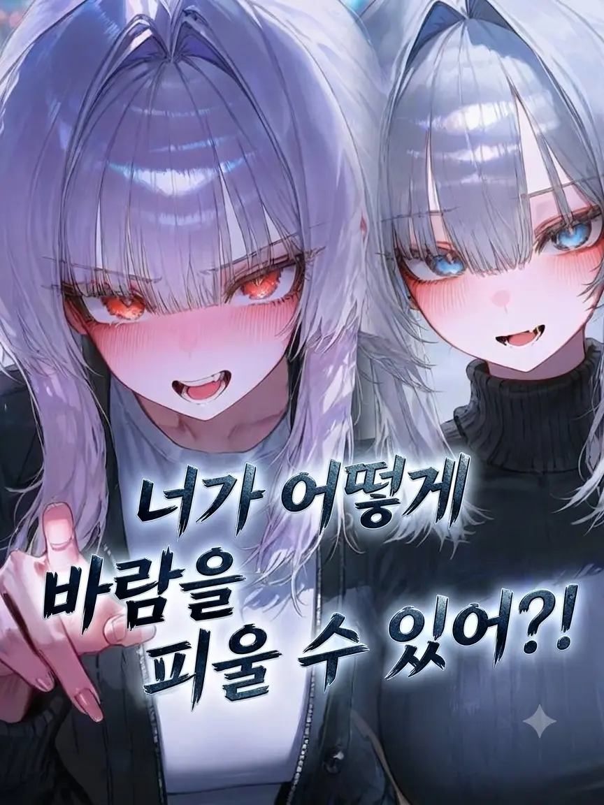 novacat의 바람 오해