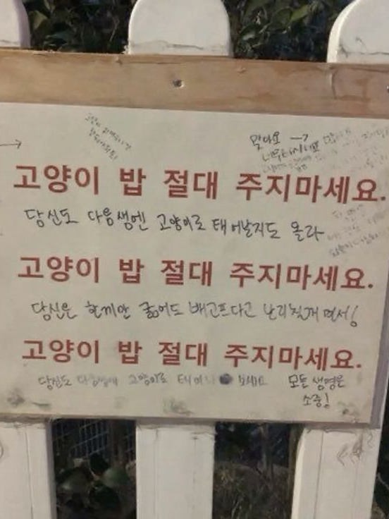 ㅤ 대표 이미지