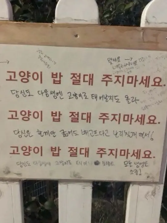 milkteaeat_07의 백수