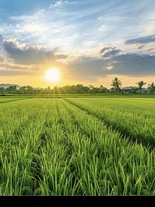 유튜버들과 MT 대표 이미지
