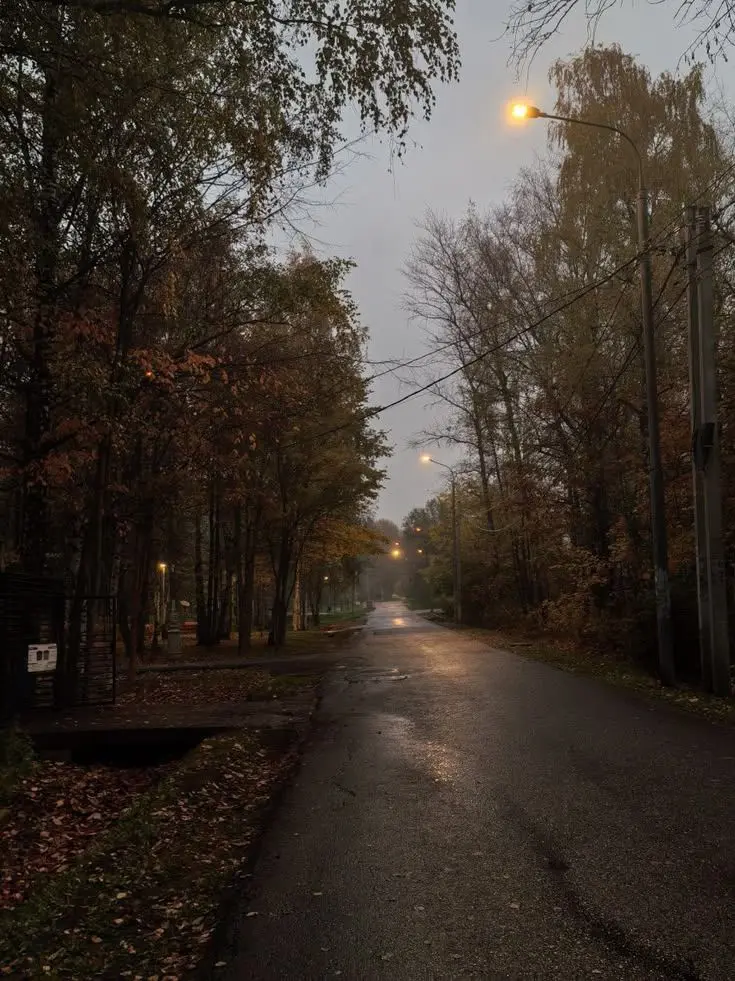 HonestKnob5019의 Mystic Falls ʚɞ