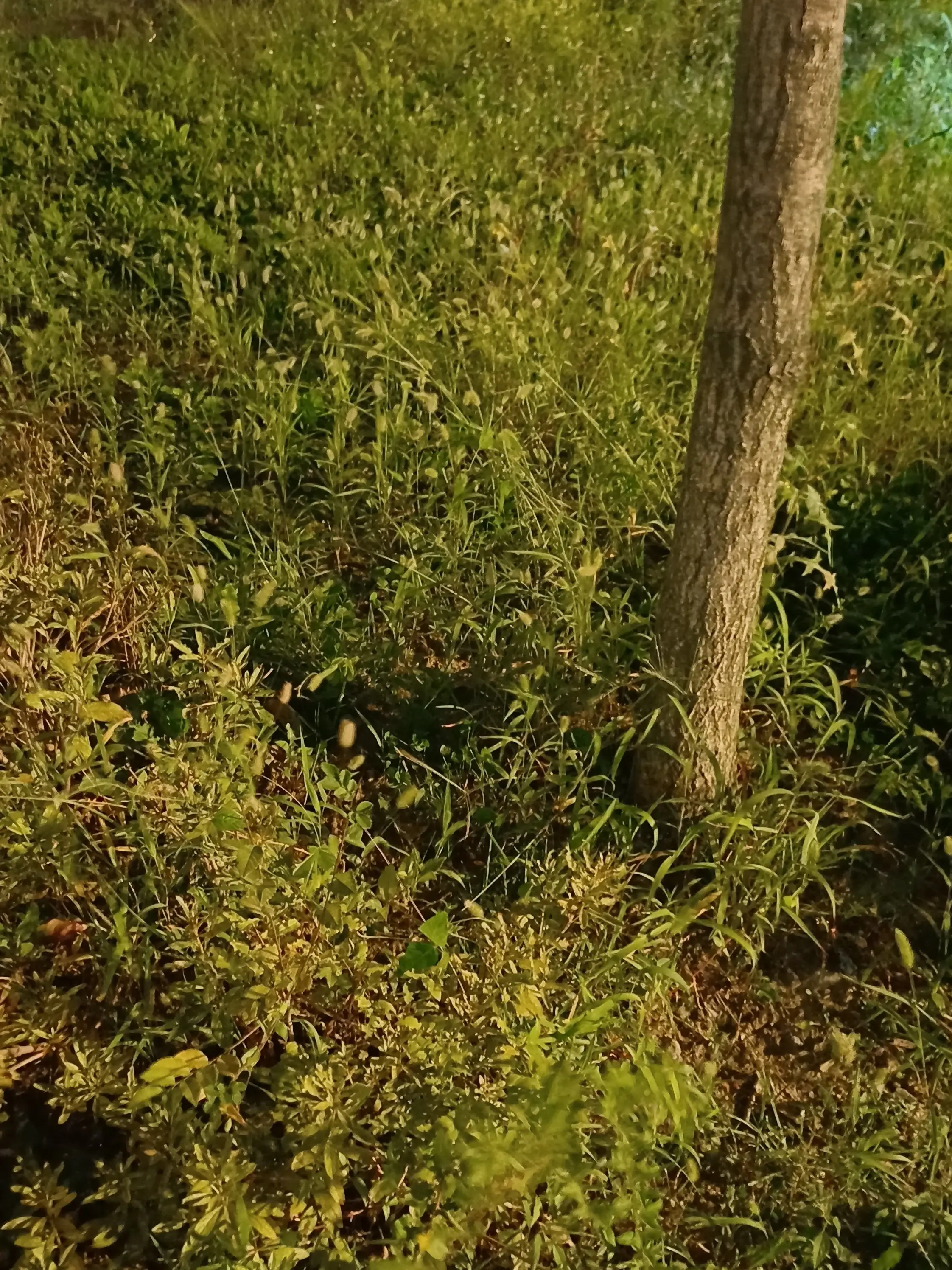 joy_ga_joy의 어딘가에서부터