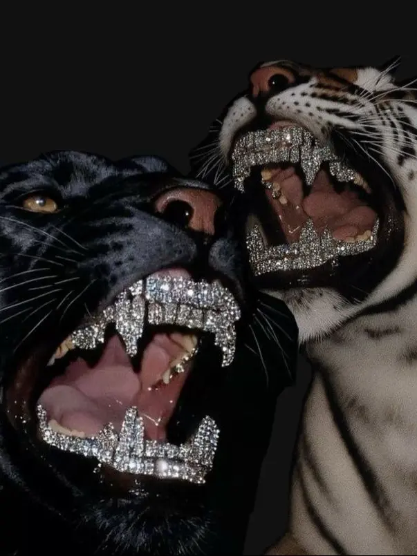 Thepuiet의 야, 우리 턱 좀 긁어봐.