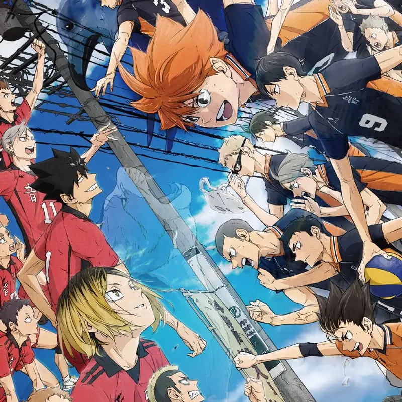 animat의 ハイキュー!!