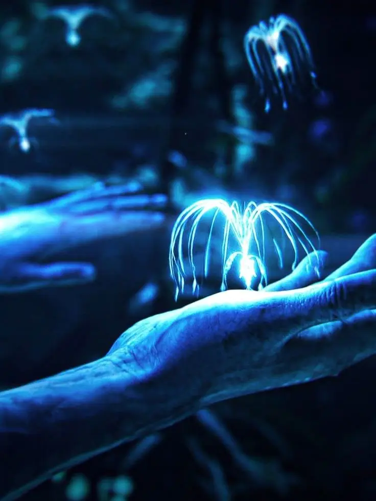 IloveAvatarsomuch의 ☾☁︎네테이얌과 알콩달콩☁︎☽