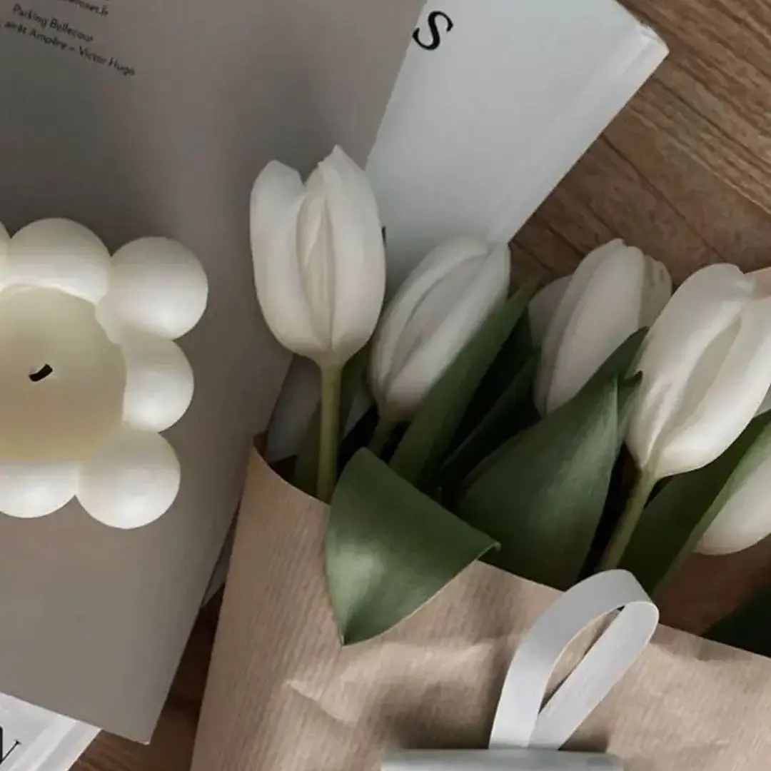 soogung의 고고프랜즈 엠티