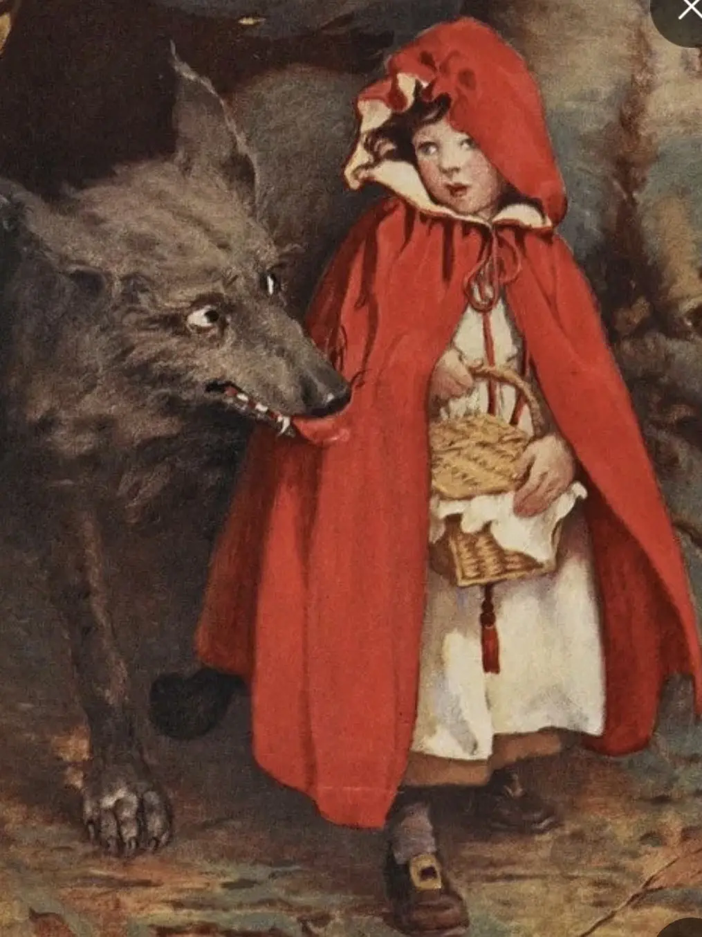 Imcatok의 동화책시리즈! 빨간모자 비스트+여우