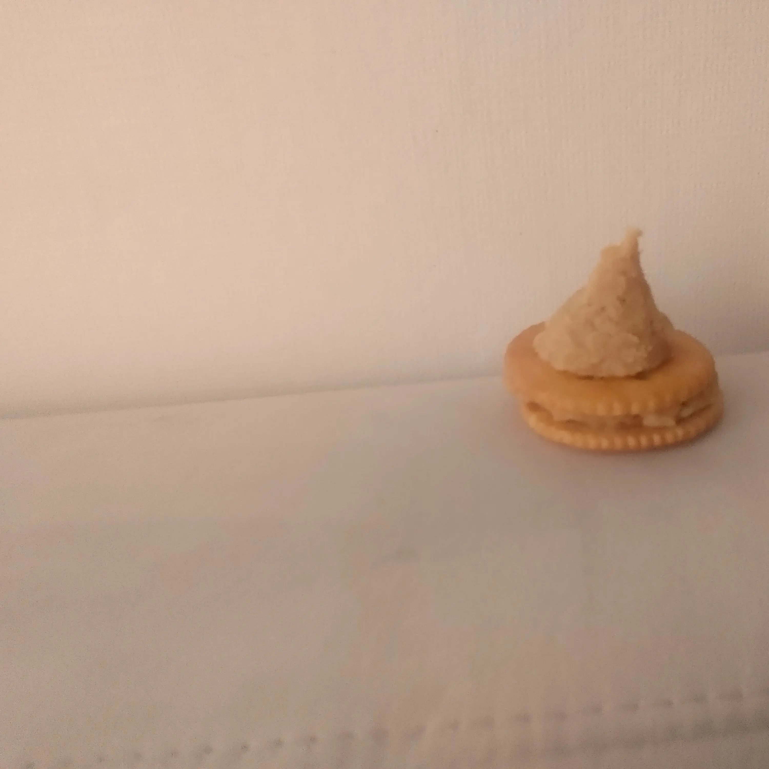 BoneCoral7982의 좀비 세계 말고 급똥에서 살아남기