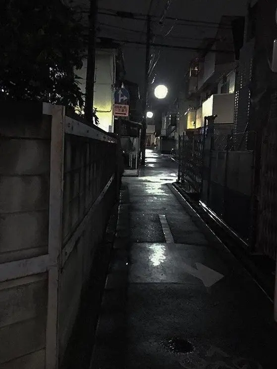 CannyLake6634의 殉愛