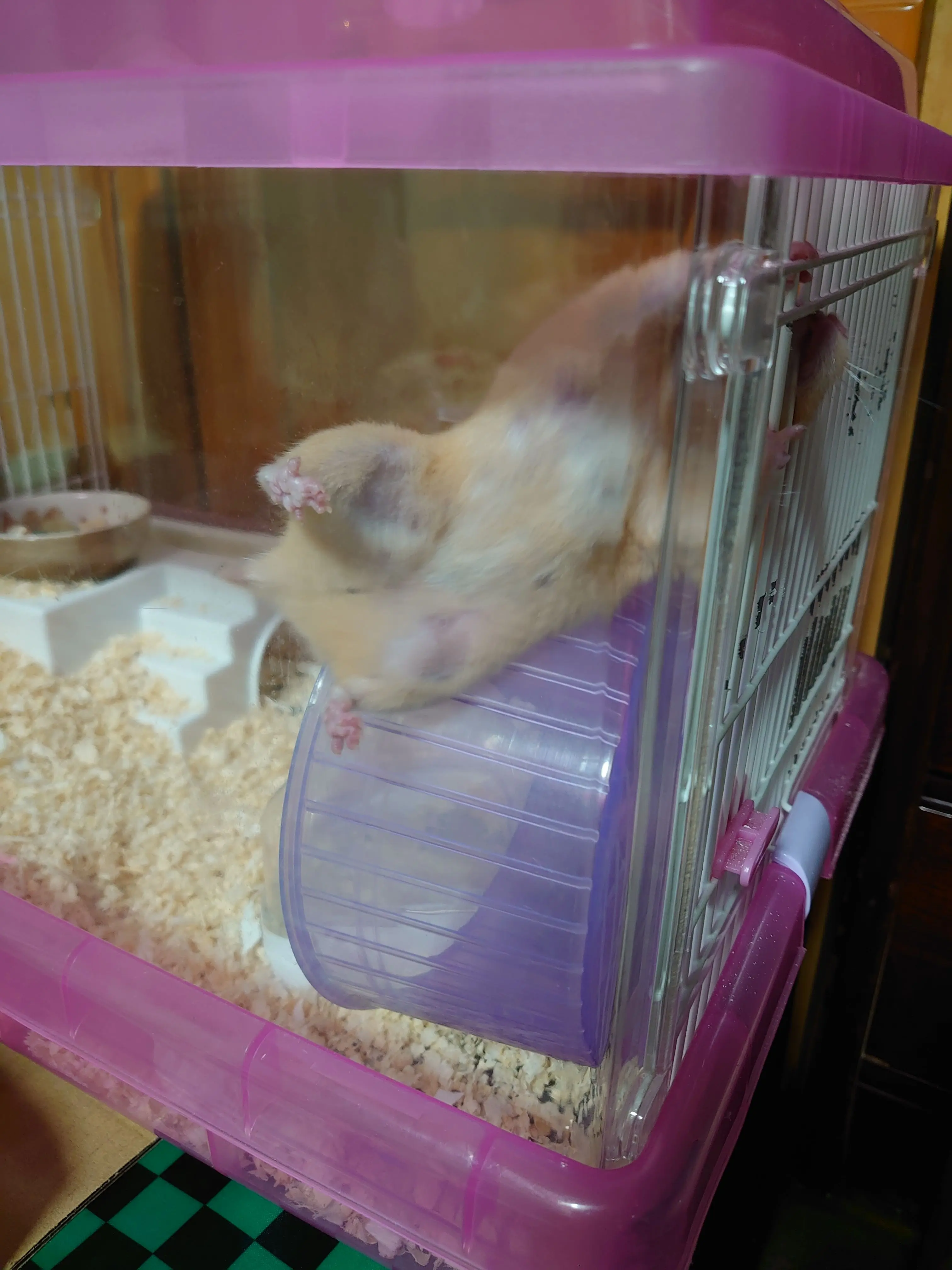 IdleBilby6130의 BLですよ？