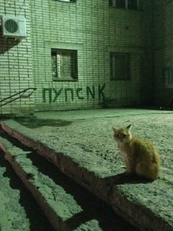 StrongVole0354의 Popular group