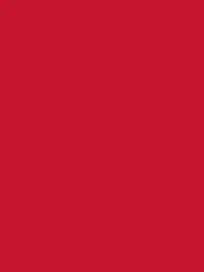 ChubbyMiner4625의 Flag