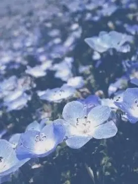 azinomoto.0619의 「ずっと一緒にいような。」