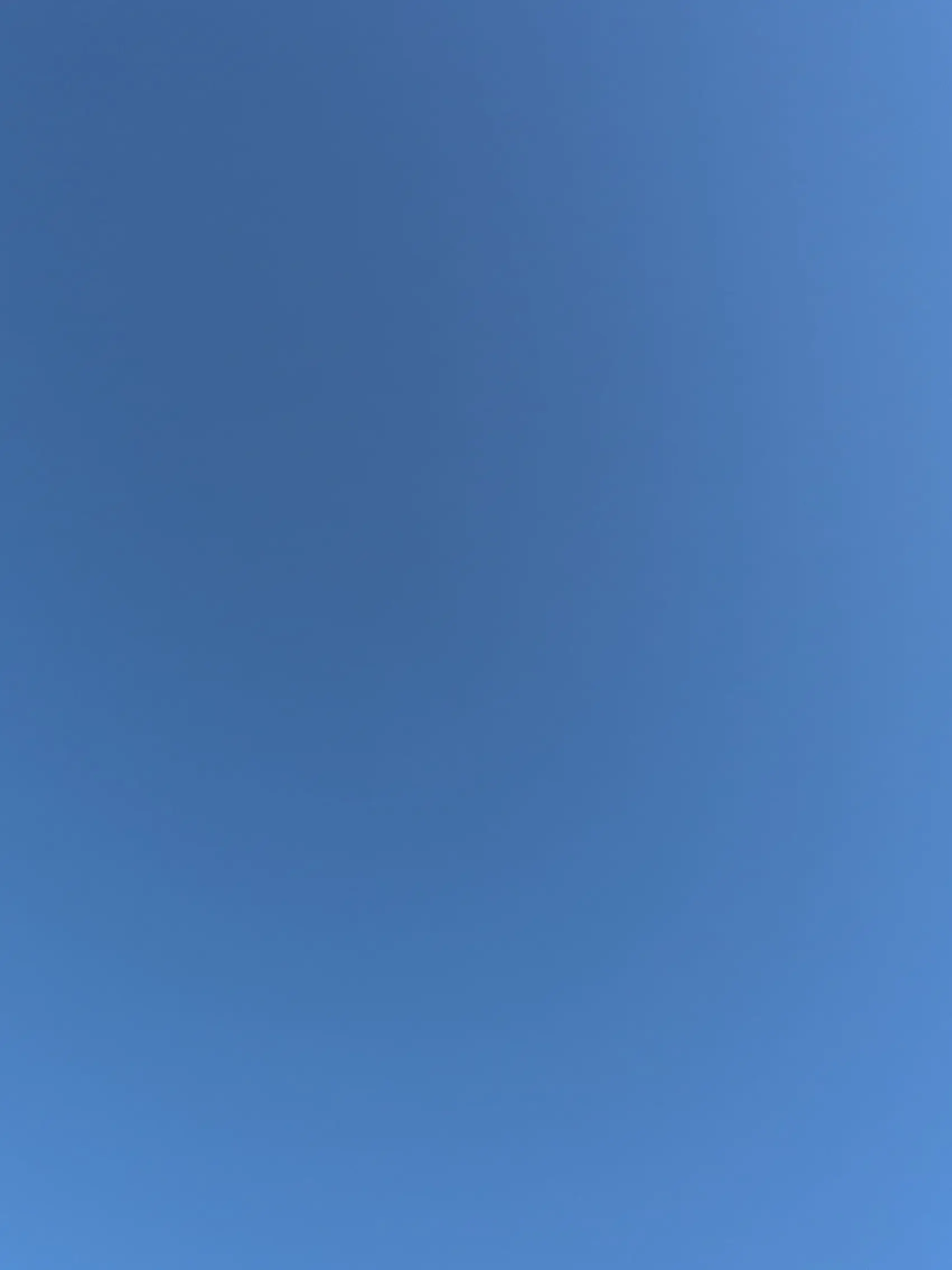 crpt_의 どっち。。。？