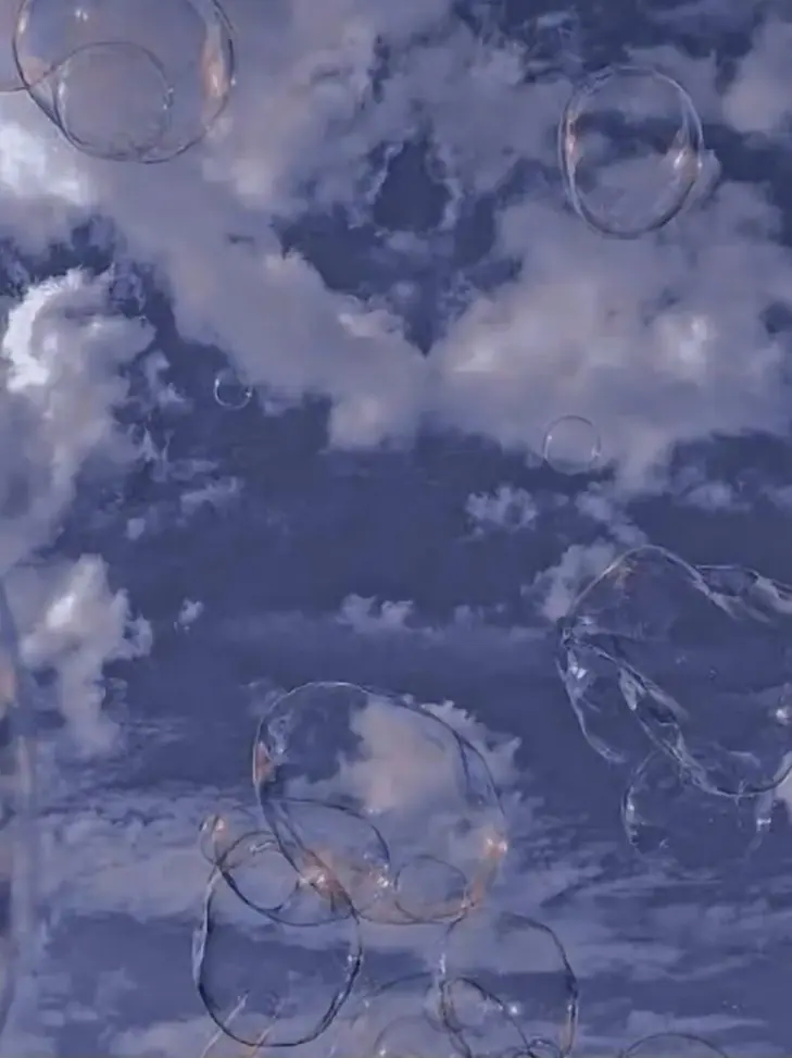 entarabb의 낙원고 T5