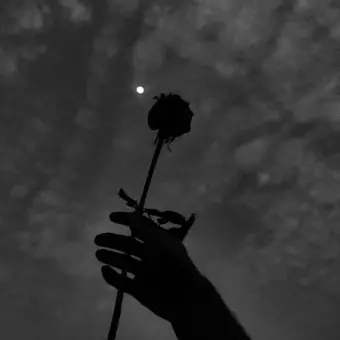 ClassyPolar2901의 보플 음악학원