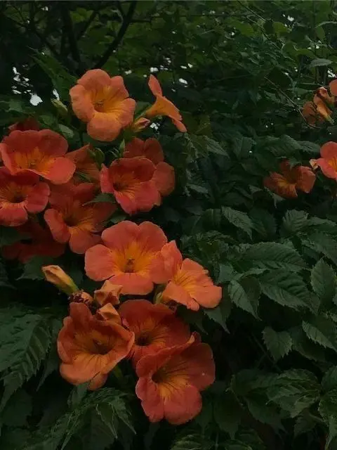 Inftp_1234의 개인용
