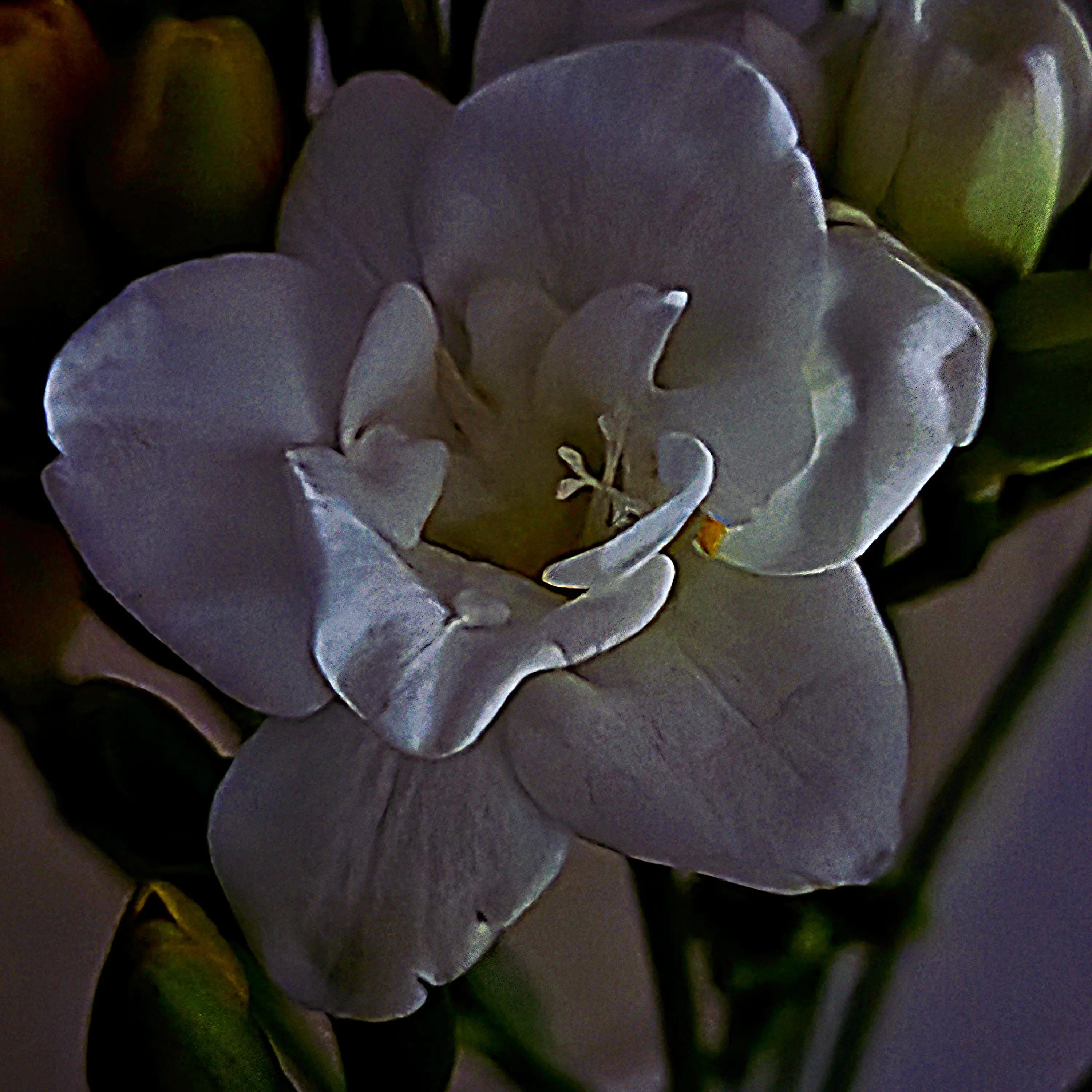 Alive_의 싸이코드ㅡ학교&아포칼립스AU