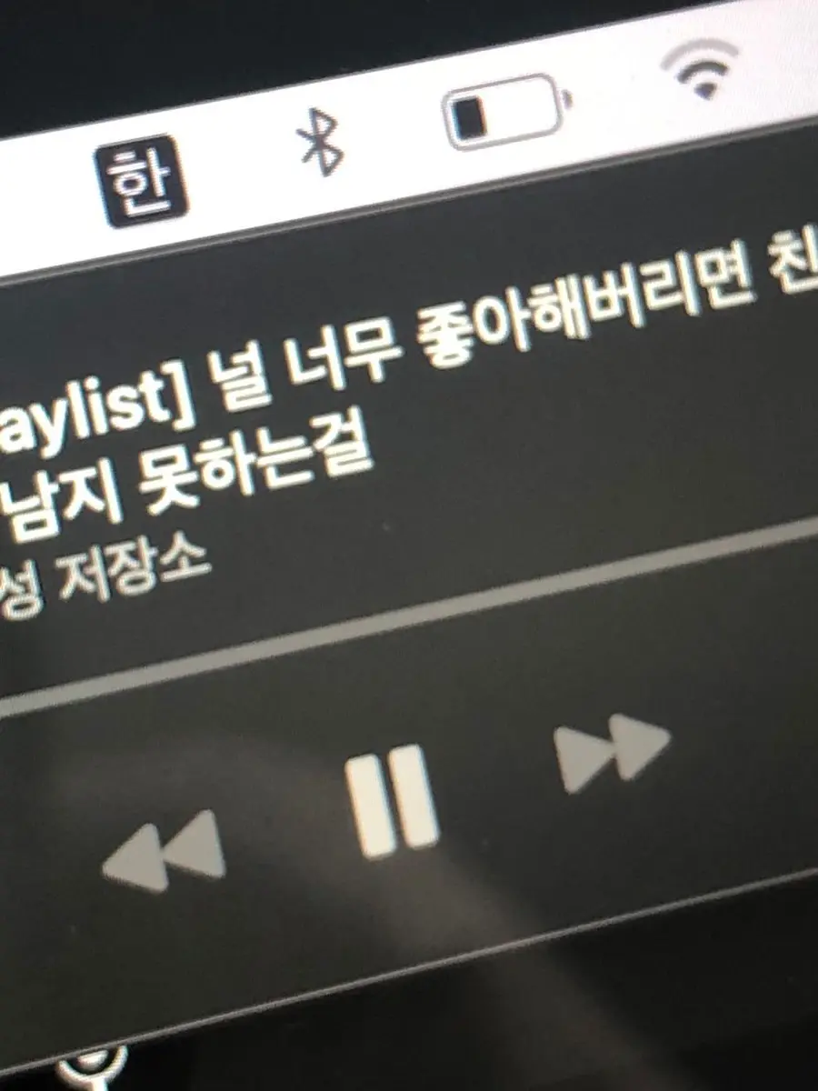 Y.P의 numb numb