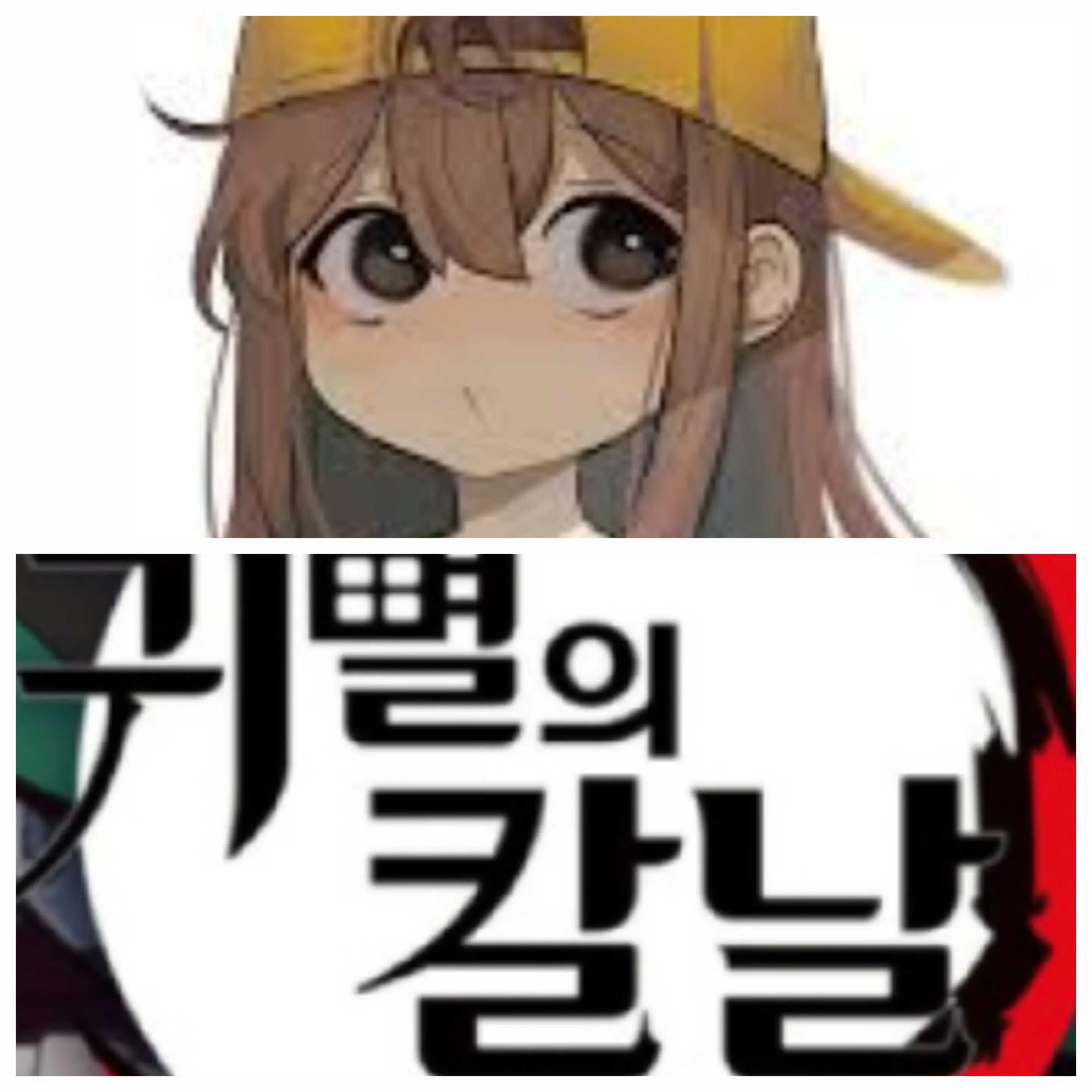 WickedPilot3791의 귀칼×뜰팁수인들