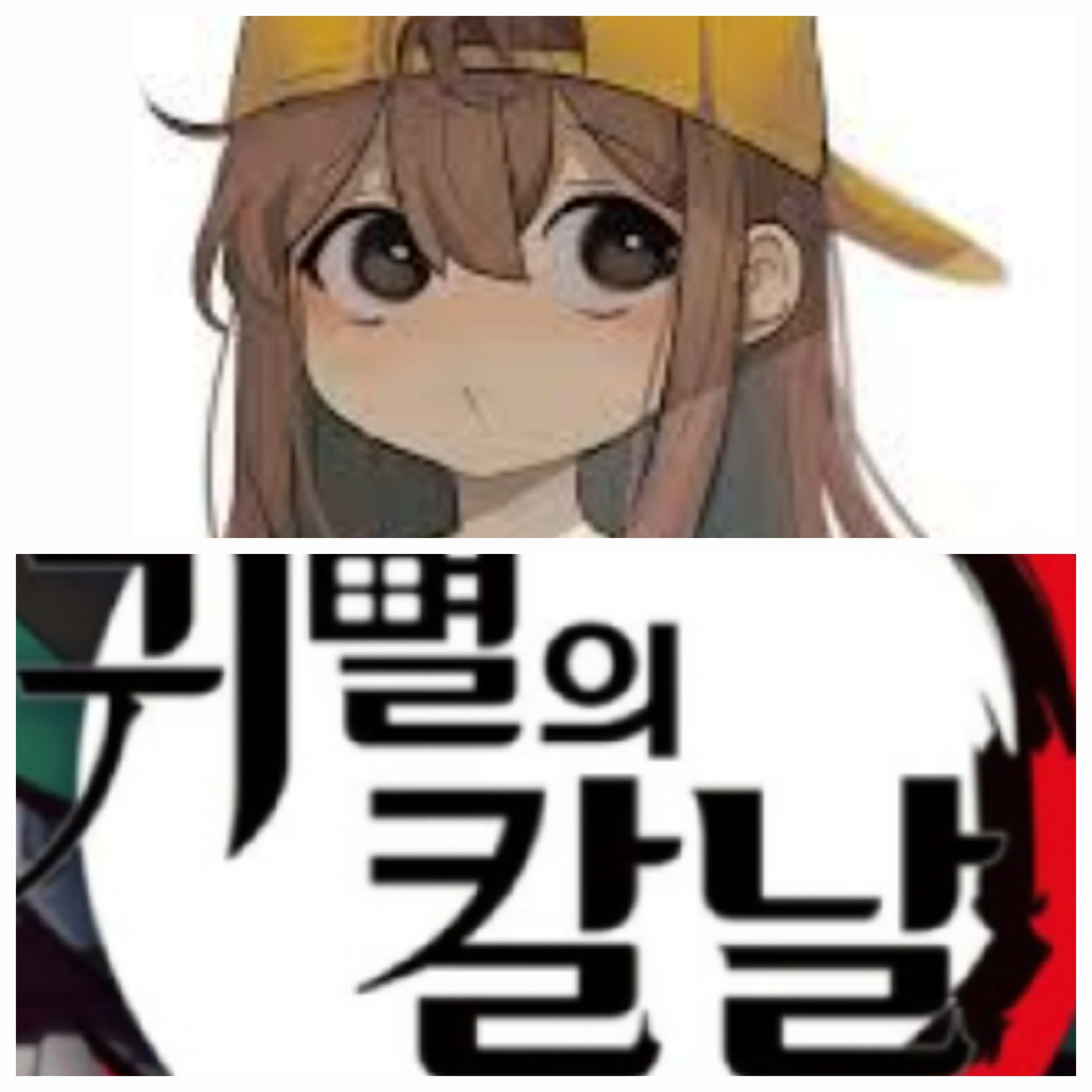귀칼×뜰팁수인들
