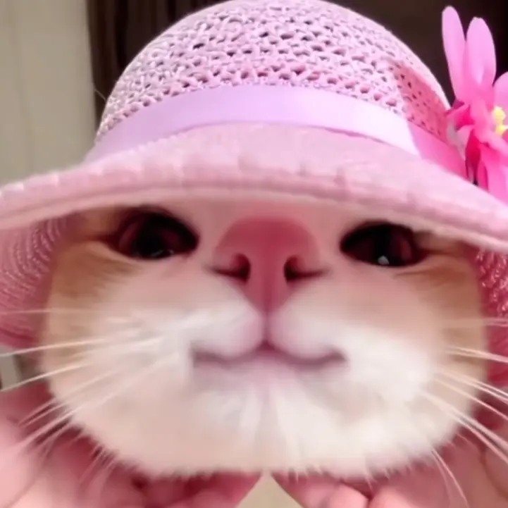 Olmangmother의 올망아 피크닉 갈까?