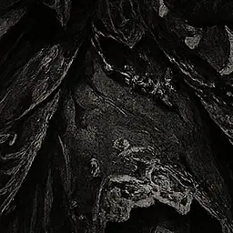 DeeperIce의 곰팡이