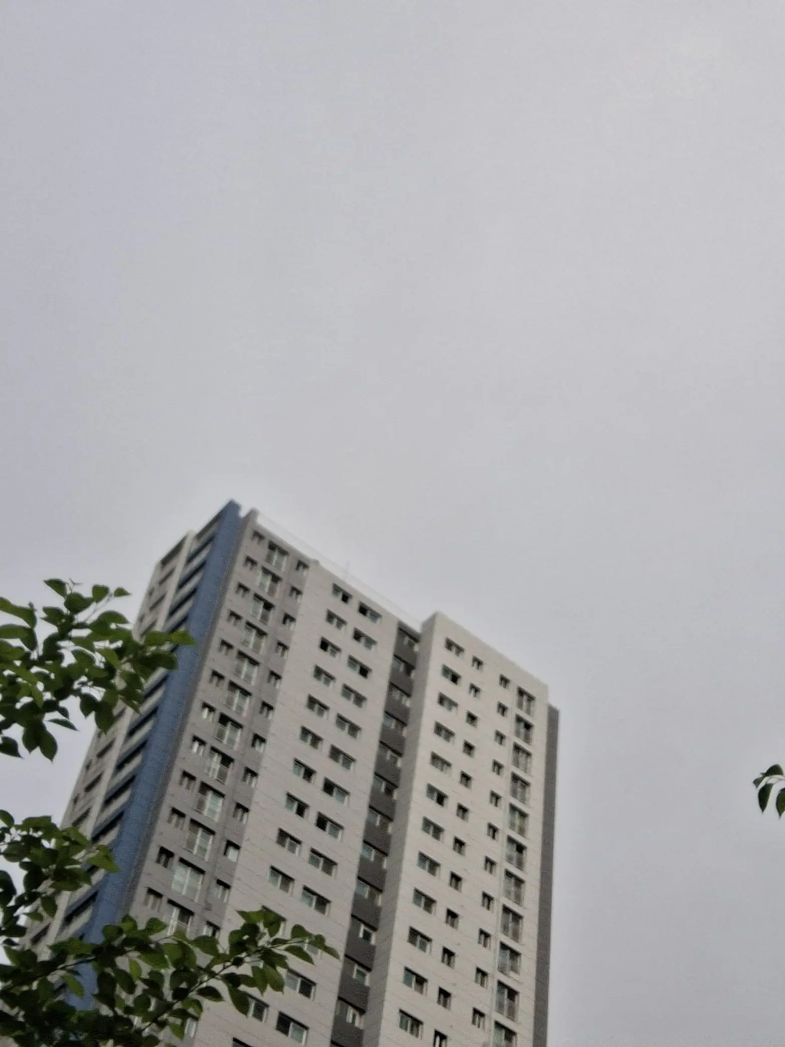 LeftChili7565의 고백하는건 쟤인다 왜 날보는거야.