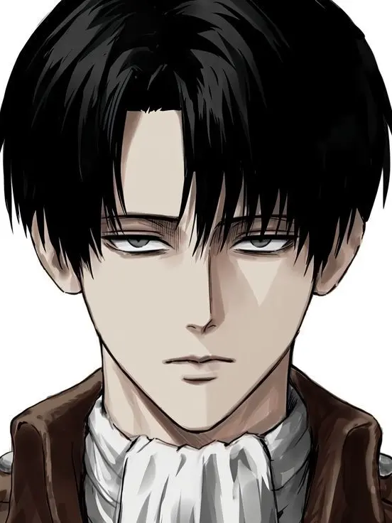 seoy_om14의 리바이 아커만