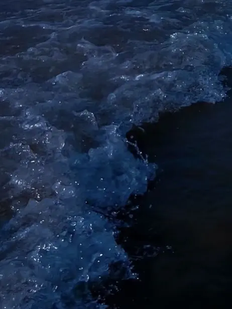 sui_Mimi_333의 きみはりそうのおとこのこ