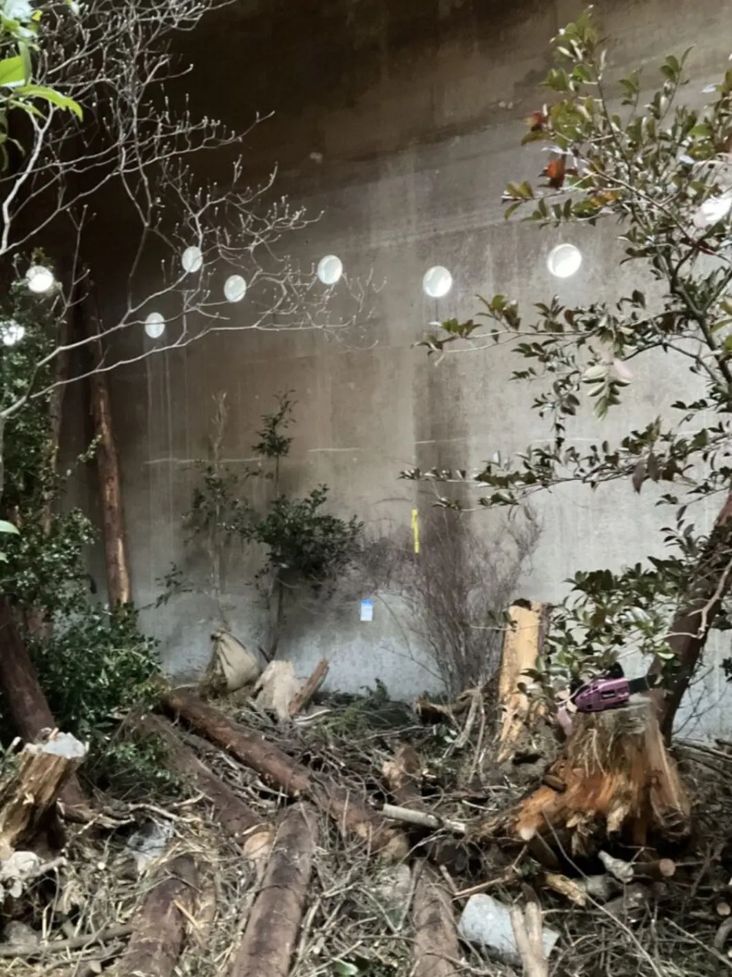 SinfulPaste3271의 ~Plant Rebellion~