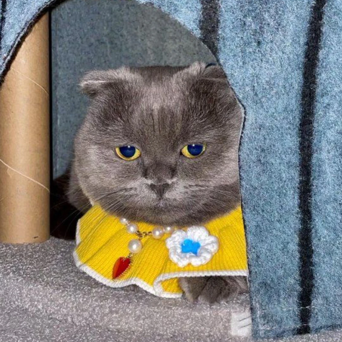 GD