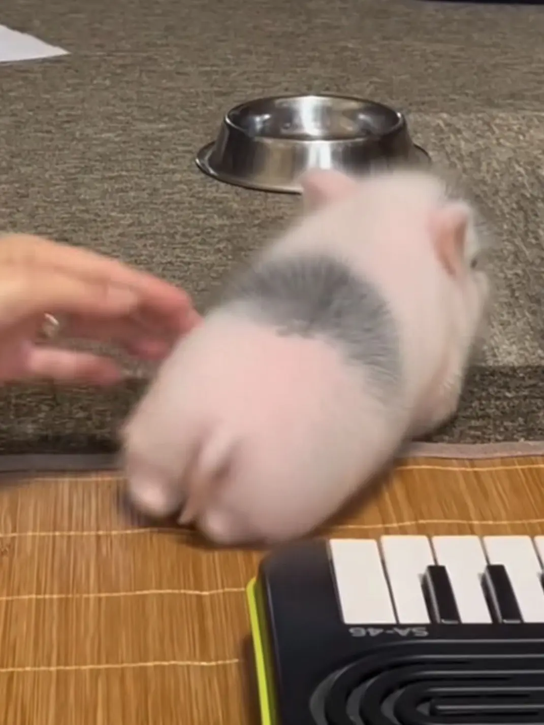 sanghyeonjj의 정상현