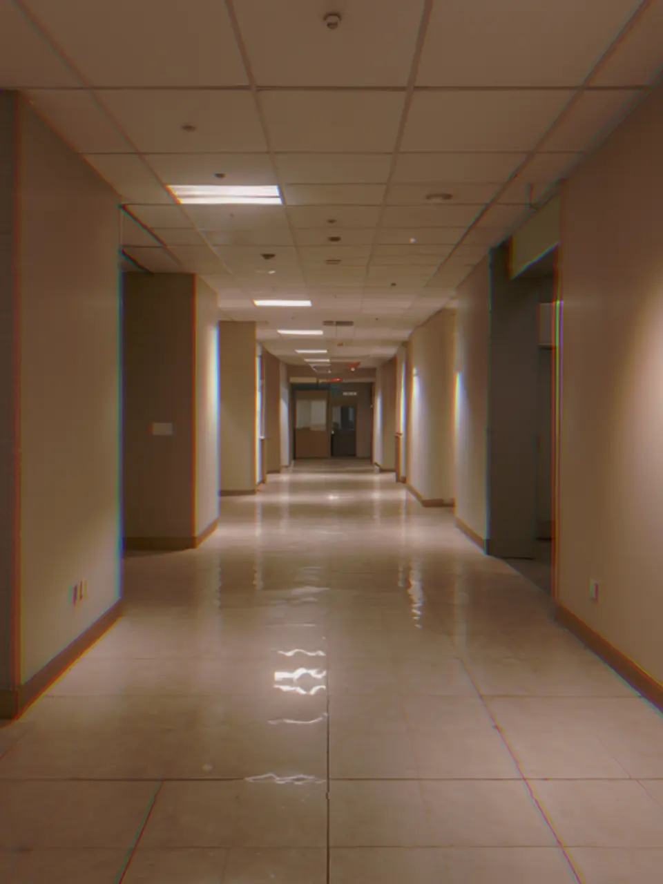 0.52의 樂園 ᶜᵒʳᵖ·