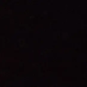 LULU24의 쿠키런+여우+따라쟁이