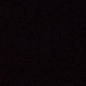 쿠키런+여우+따라쟁이