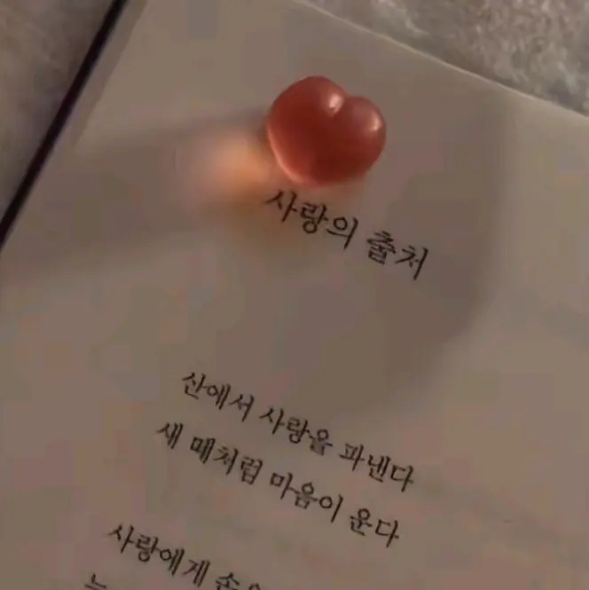 Happy_stay의 응답하라 1988 성선우