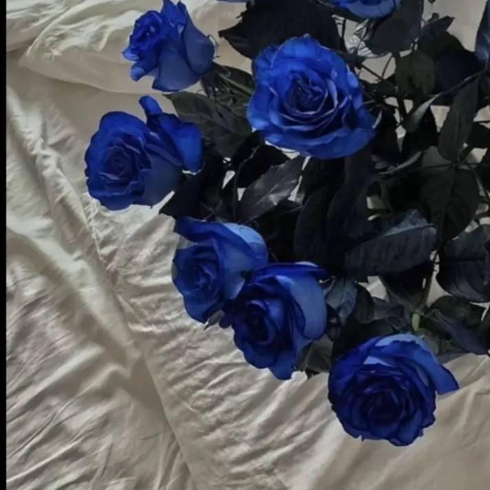 Michael_Kaiser_love의 악이 되어버려도 괜찮아,